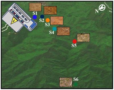 Soil microbial community composition and nitrogen enrichment responses to the operation of electric power substation